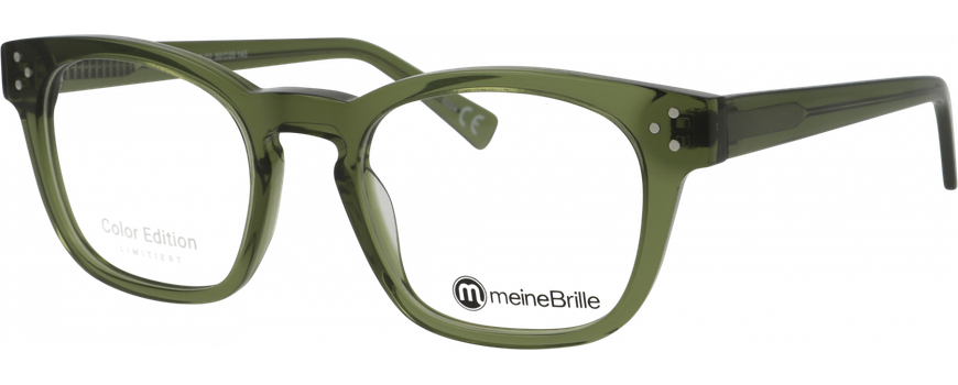 meineBrille 04-40160-02, Fernleaf