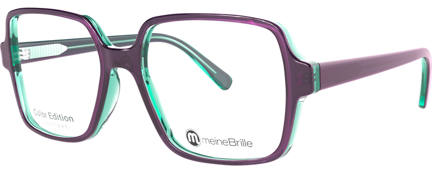meineBrille 04-60080-01