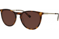 meineBrille 14-36040-02 Havanna transparent / Gold matt